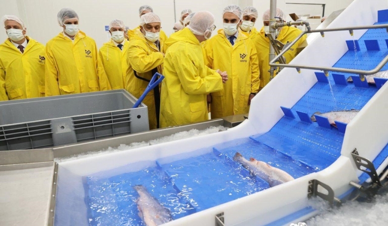 Bakan Kacır, Sinop’ta su ürünleri işleme tesisini gezdi
