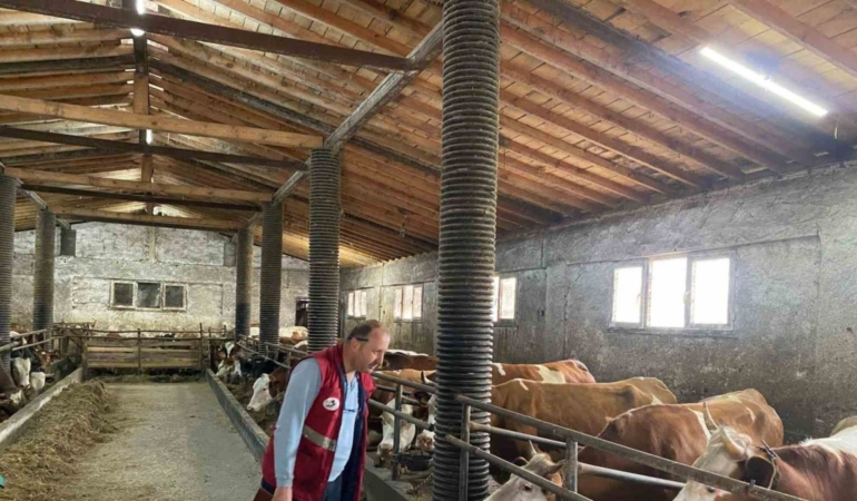 Çarşamba’da şap hastalığı denetimi