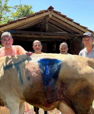 cift-basli-dogan-buzagi-sasirtti