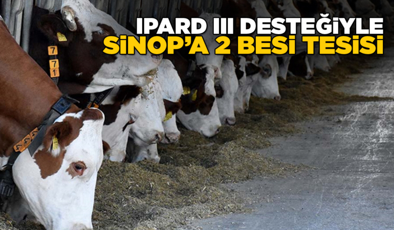 Sinop’a 2 yeni besi tesisi kurulacak!