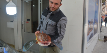 SİNOP’TA 5 KİLOGRAMLIK KIRLANGIÇ BALIĞI  YAKALANDI