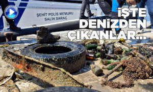denizdencikanlar
