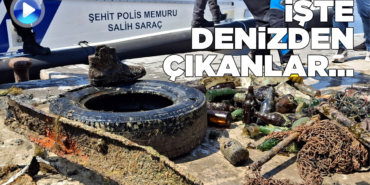 denizdencikanlar