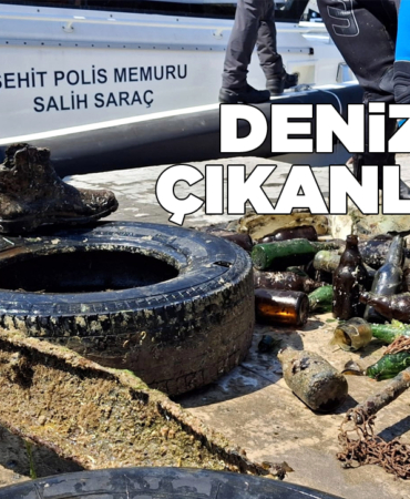 denizdencikanlar