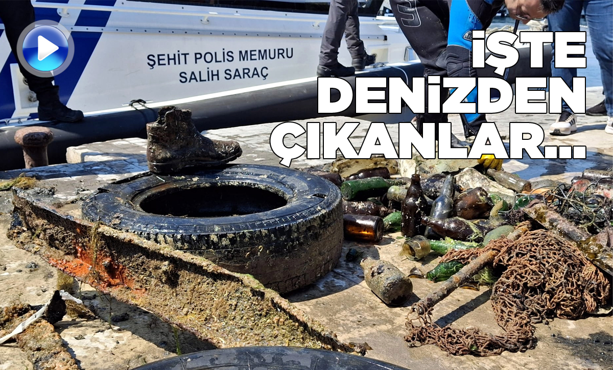 denizdencikanlar