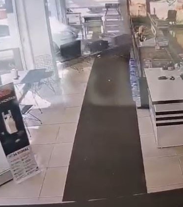 FREN YERİNE GAZA BASTI, KASAP DÜKKANINA DALDI