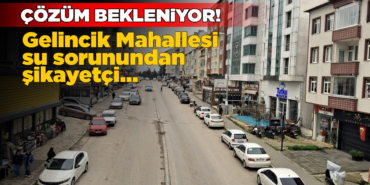 gelincikmahallesi