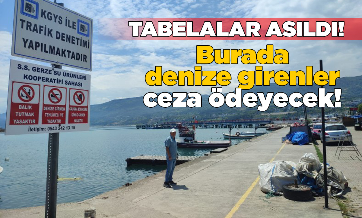 gerzeyuzmeyasagi
