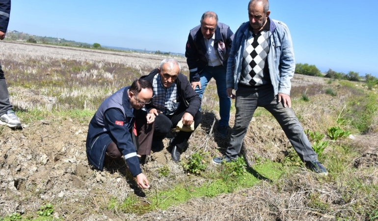 Sinop’ta çiftçilere sivrisinekle mücadele eğitimi