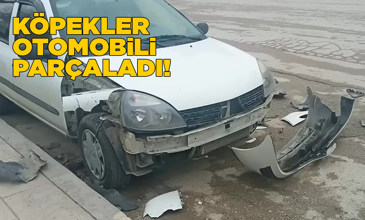 kopkelerotomobili