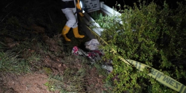 korkunc-olay-ayilar-mezarliga-dadandi