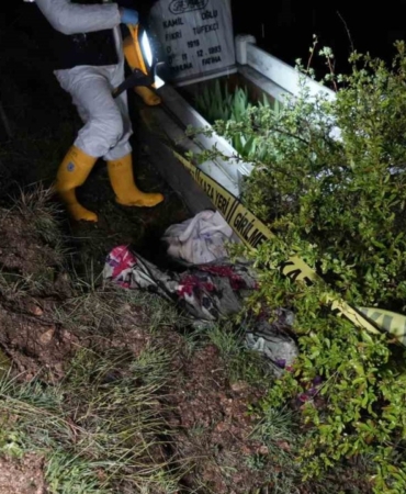 korkunc-olay-ayilar-mezarliga-dadandi