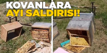 kovanlaraayisaldirisi