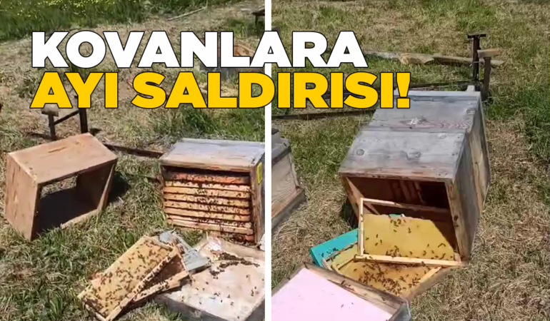 kovanlaraayisaldirisi