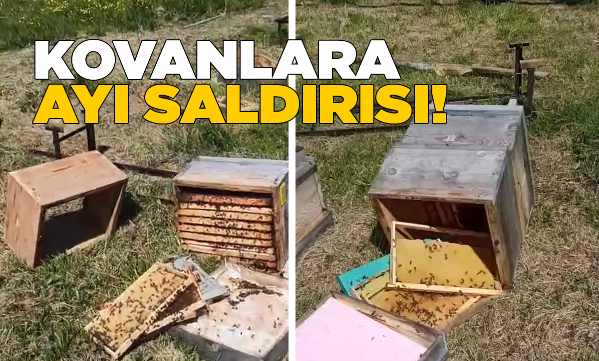 kovanlaraayisaldirisi