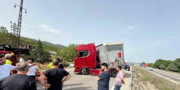 kucuk-bir-ari-yuzlerce-kisiyi-magdur-etti