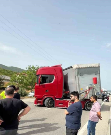 kucuk-bir-ari-yuzlerce-kisiyi-magdur-etti