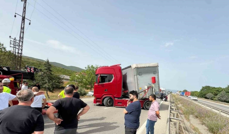 Küçük bir arı yüzlerce kişiyi mağdur etti