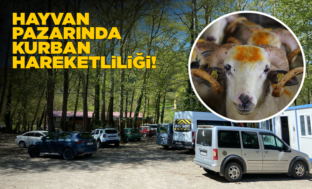 kurban