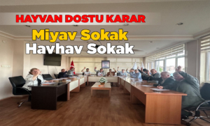 miyavhavhav
