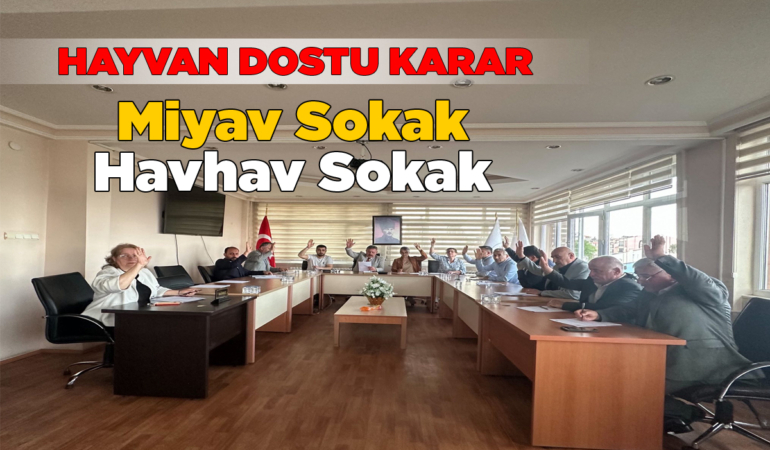 İlçedeki 2 yeni sokağa bu isimler verildi