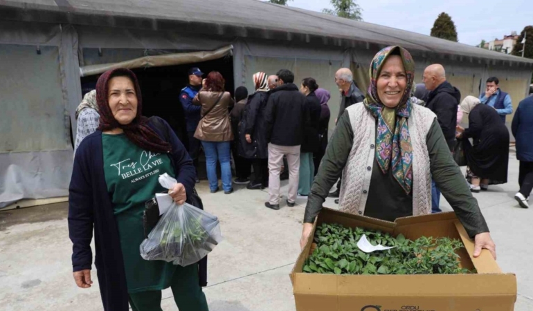 ordulu-ureticilere-fide-dagitilmaya-baslandi