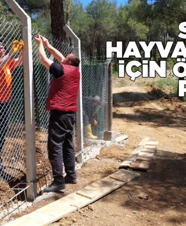 s-o-k-a-k-h-a-y-v-a-n-l-a-r-i-b-o-y-a-b-a-t