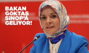 sinopageliyor