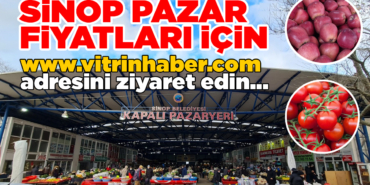 sinopazarfiyatlari-copy-1-1