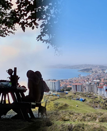 sinophiknik2093867263276328