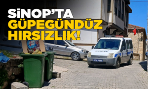 sinophirsizlik