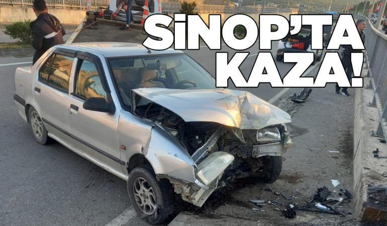 Sinop’ta yola atlayan köpek kazaya neden oldu