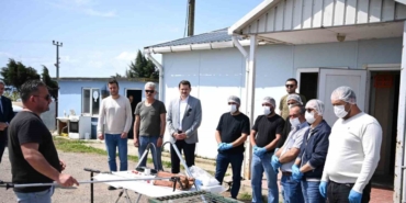 sinopta-sahipsiz-hayvanlarin-toplanmasina-yonelik-egitim-programi