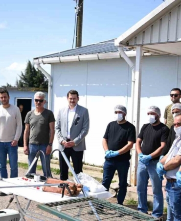 sinopta-sahipsiz-hayvanlarin-toplanmasina-yonelik-egitim-programi