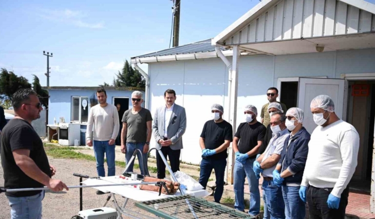 Sinop’ta sahipsiz hayvanların toplanmasına yönelik eğitim programı