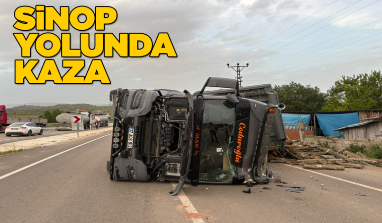 Odun yüklü tır devrildi