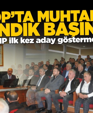 whatsapp-gorsel-2025-05-05-saat-140828-863ea14d