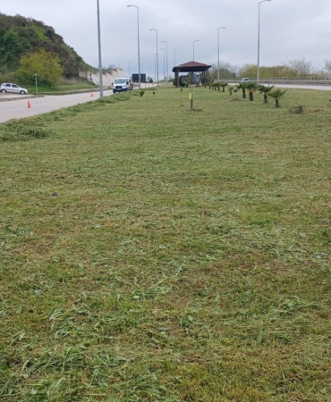 whatsapp-image-2025-05-12-at-140928