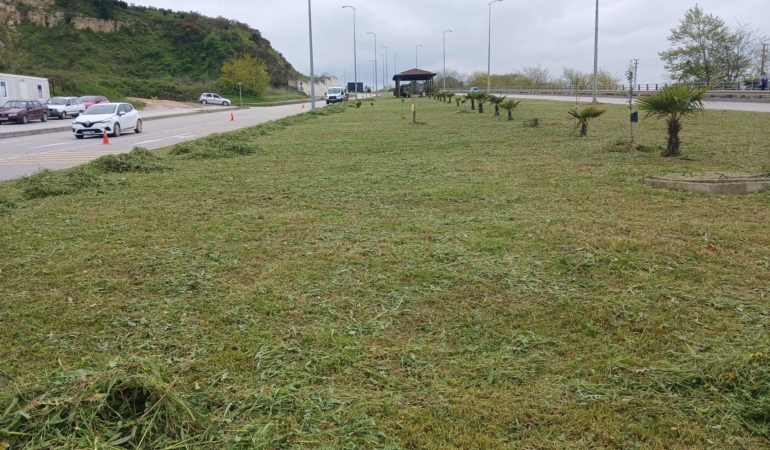 Sinop’ta sürücülerin görüşünü engelleyen otlar biçildi