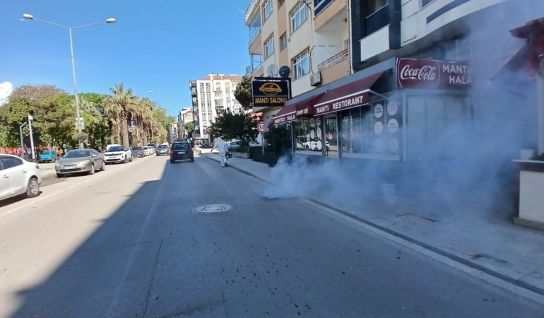 Kent merkezinde ilaçlama çalışmaları devam ediyor