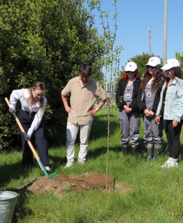 whatsapp-image-2025-05-20-at-120544