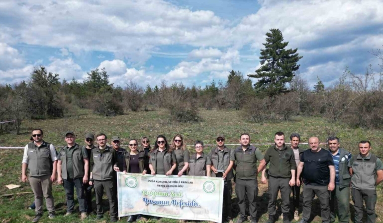 yaban-hayati-icin-ormanlik-alana-fidan-dikildi