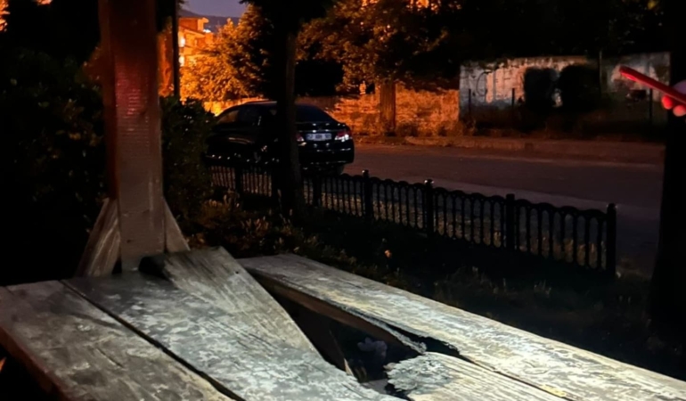 Parktaki kamelyalara zarar verildi