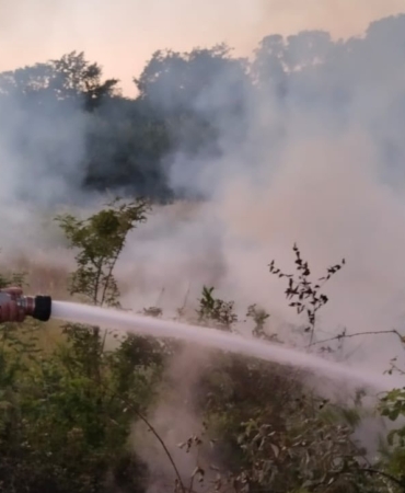 503702870-1160232056148659-6432683277170234463-n