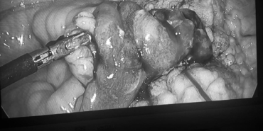 506529733-692619113699589-7792359746250234417-n