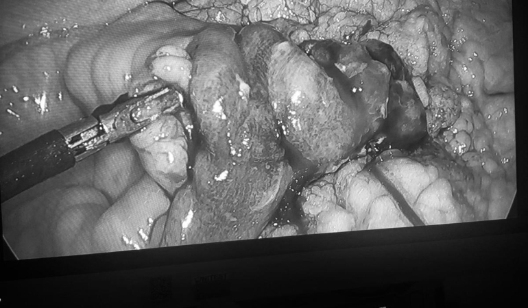 506529733-692619113699589-7792359746250234417-n