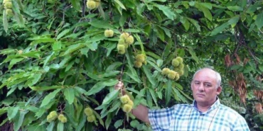 510478325-10163084945139791-1187500782353059466-n