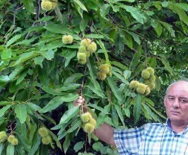 510478325-10163084945139791-1187500782353059466-n