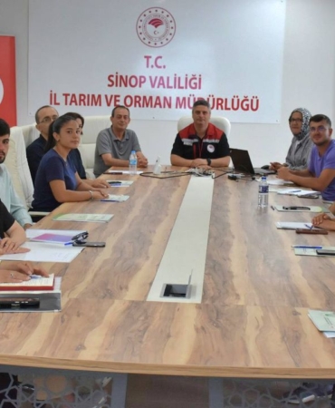 511012051-122118375410885615-3394237756584280433-n