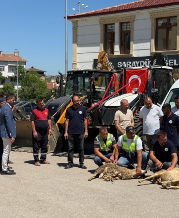 512665369-9822198137902447-5417201563159534819-n